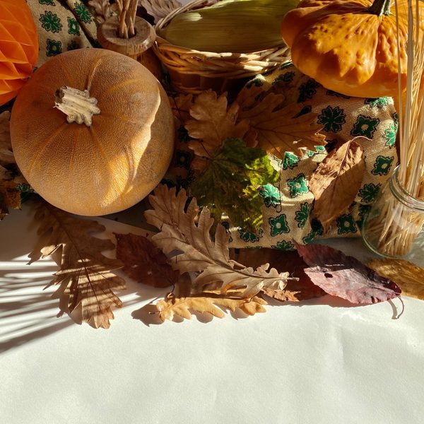An array of Autumn seasonal objects including mini pumpkins and dried leaves piled up on white sketch paper.