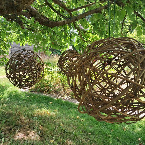 Several large woven willow balls hanging from a tree, in a green outdoor space.